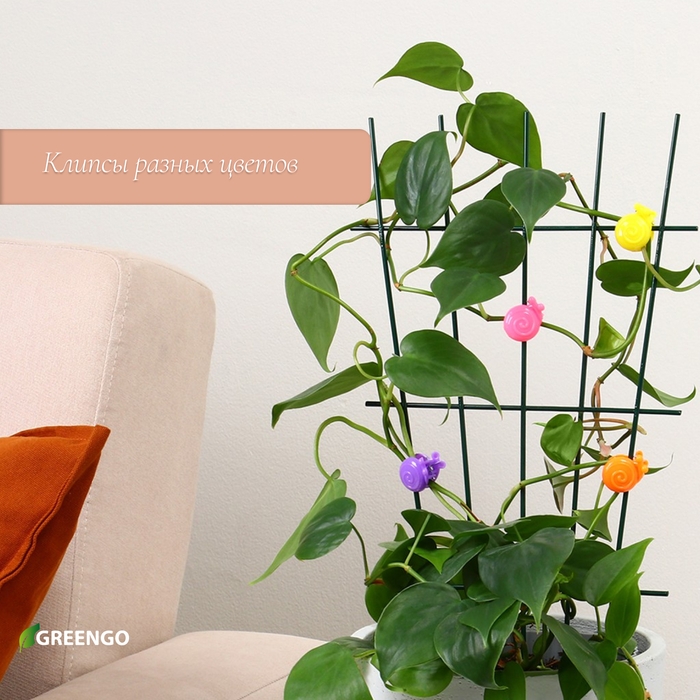Клипса для растений «Улитка», набор 10 шт., МИКС, Greengo Клипса для растений «Улитка», набор 10 шт., МИКС, Greengo