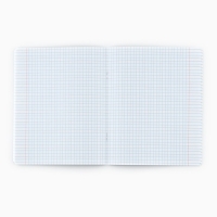 Тетрадь в клетку, 48 листов А5 на скрепке , внутренний блок №1 МИКС &laquo;1 сентября: Мотивационные&raquo; Мат. лам, тиснение