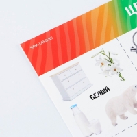 Набор обучающих плакатов «Изучаем мир», 10 в 1, А4 Набор обучающих плакатов «Изучаем мир», 10 в 1, А4