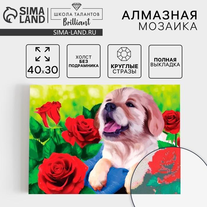 Алмазная мозаика с полным заполнением на холсте &laquo;Щенок&raquo;, 30 х 40 см