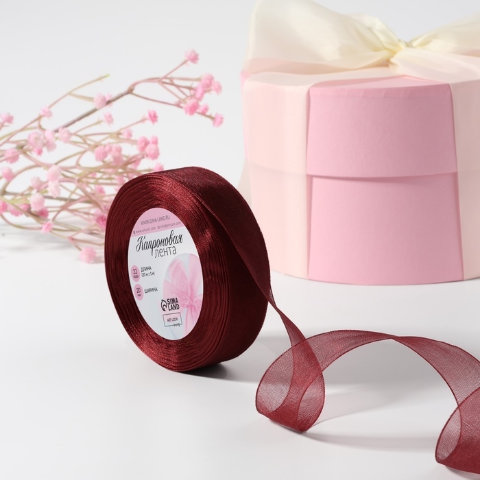 Лента капроновая, 20 мм, 20 &plusmn; 1 м, цвет красно-коричневый №48