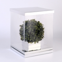 Коробка для цветов с вазой и PVC окнами складная, 23 х 30 х 23 см, серебро Коробка для цветов с вазой и PVC окнами складная, 23 х 30 х 23 см, серебро