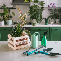 Ящик для овощей и фруктов, 29 &times; 23 &times; 19 см, деревянный, Greengo