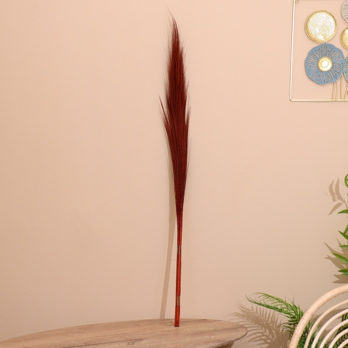 Сухоцвет набор  120 см коричневый