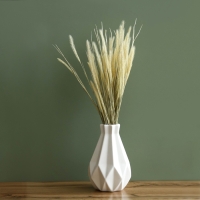 Сухоцвет &laquo;Щетинник&raquo;, белый, 30 - 50 г в упаковке