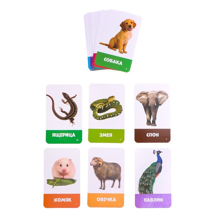 Интерактивный робот &laquo;Супер Бот&raquo;, русское озвучивание, световые эффекты, цвет белый