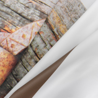 Штора для ванны Доляна «Гармония», 180×180 см, EVA Штора для ванны Доляна «Гармония», 180×180 см, EVA