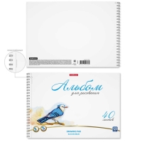 Альбом для рисования А4, 40 листов на спирали, Erich Krause Birds, блок 120 г/м&sup2;, 100% белизна, перфорация для отрыва, твёрдая подложка