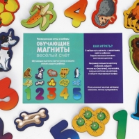 Развивающие магниты «Веселый счет» Развивающие магниты «Веселый счет»