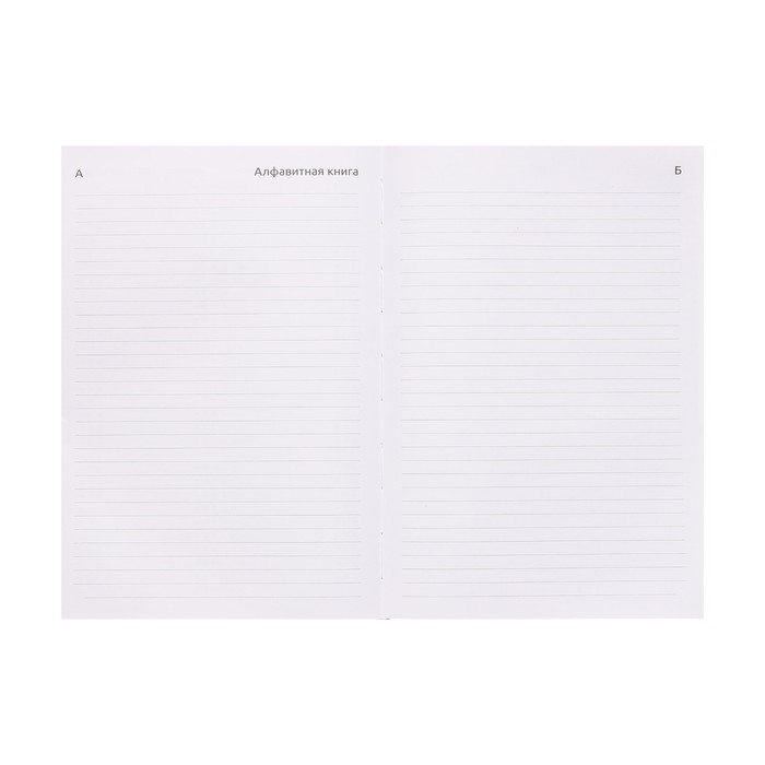 Ежедневник датированный 2024 года, А5, 176 листов, Attomex.Regent, обложка бумвинил, ляссе, блок 70 г/м2, коричневый