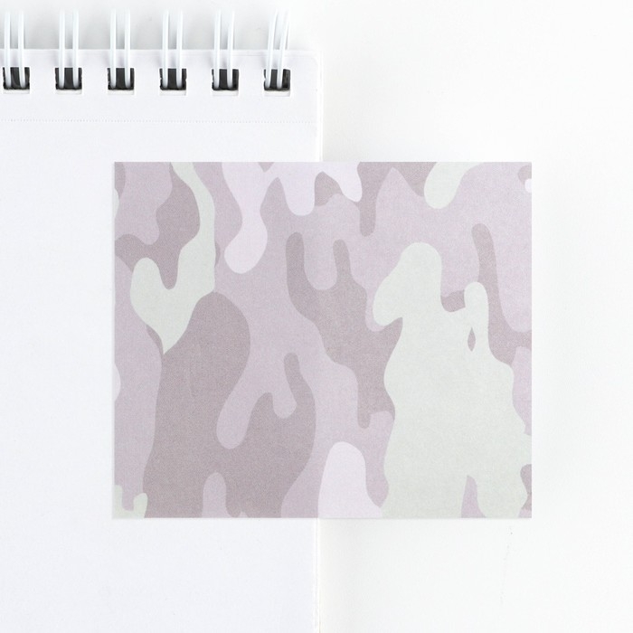 Подарочный набор стикеры и ручка &laquo;Настоящий герой&raquo;, 2 х 30 л, синяя паста 0.7 мм