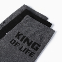 Подарочный набор термос и носки 3 пары KAFTAN King, р. 41-44 (27-29 см) Подарочный набор термос и носки 3 пары KAFTAN King, р. 41-44 (27-29 см)