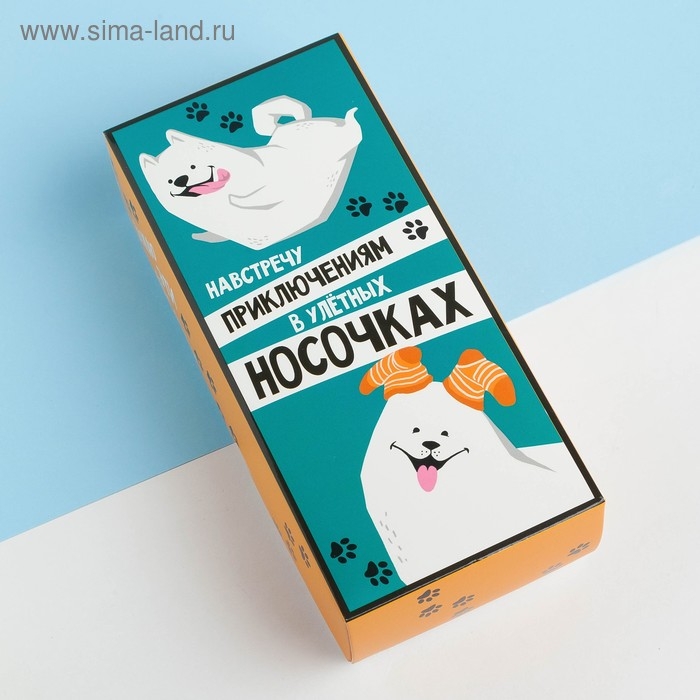 Набор носков Набор носков "В улетных носочках" 5 пар, 22-24 см, хлопок