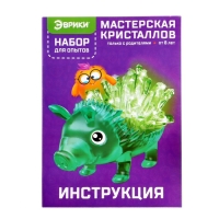 Набор для опытов &laquo;Мастерская кристаллов&raquo;, в пакете