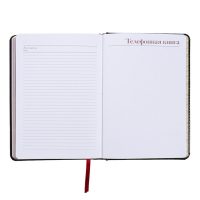 Ежедневник недатированный А5+, 136 листов Sidney Nebraska, твёрдая обложка, искусственная кожа, серебряный срез, чёрный