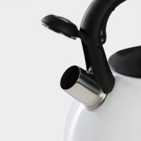 Чайник со свистком из нержавеющей стали Доляна &laquo;Колибри&raquo;, 3 л, с индикатором нагрева