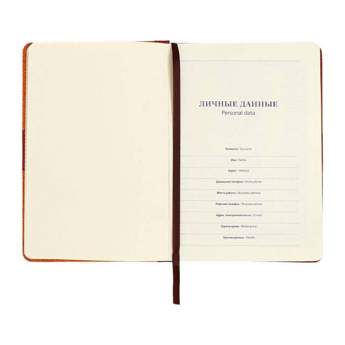 Органайзер на кольцах, А5, 128л, клетка, обл.кожзам, с хлястиком, Узоры, коричневый Органайзер на кольцах, А5, 128л, клетка, обл.кожзам, с хлястиком, Узоры, коричневый