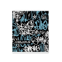 Тетрадь 96 листов в клетку, ErichKrause Graffity, обложка мелованный картон, матовая ламинация, УФ-лак, блок офсет 100% белизна, МИКС Тетрадь 96 листов в клетку, ErichKrause Graffity, обложка мелованный картон, матовая ламинация, УФ-лак, блок офсет 100% белизна, МИКС