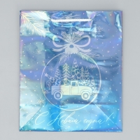 Пакет голографический &laquo;Морозко&raquo;, ML 23 х 27 х 11.5 см, Новый год