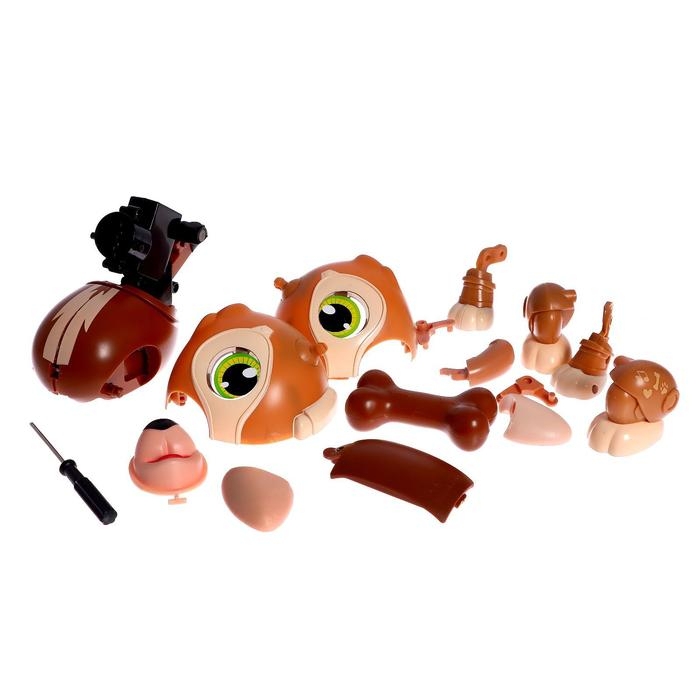 Электронный конструктор &laquo;Робот Дружок&raquo;, цвет коричневый