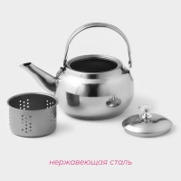 Заварочный чайник Доляна &laquo;Гретель&raquo;, 700 мл, металлическое сито, нержавеющая сталь, хромированный