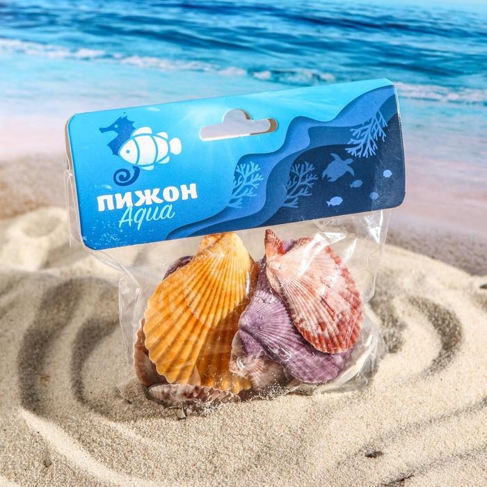 Набор ракушек Пектен Вексиллум средние, 4 - 6 см, 100 г Набор ракушек Пектен Вексиллум средние, 4 - 6 см, 100 г