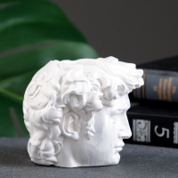 Кашпо - органайзер"Голова Давида" перламутр, 9х9х9см Кашпо - органайзер"Голова Давида" перламутр, 9х9х9см