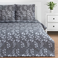 Постельное бельё Этель евро &laquo;Эвкалипт&raquo; 200*217 см, 220*240 см, 70*70 см - 2 шт