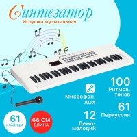 Синтезатор детский «Клавишник», звуковые эффекты, 61 клавиша Синтезатор детский «Клавишник», звуковые эффекты, 61 клавиша