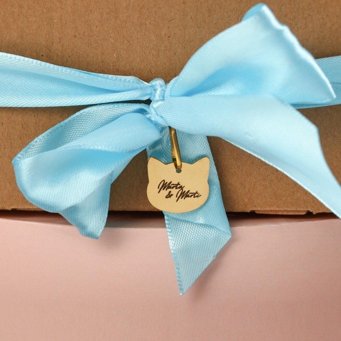 Мягкая игрушка &laquo;Модница Marta&raquo;, кошечка, 25 см