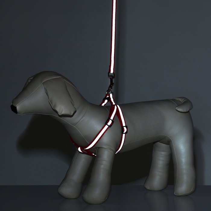 Комплект "Спорт" светоотражающий, поводок 120 х 1 см, ОГ 23-35 см, красный