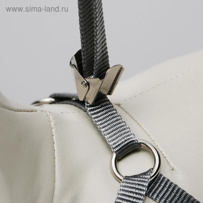 Комплект амуниции с мягкой шлейкой, S, поводок 120 х 1 см, ОШ 20-40 см, ОГ 30-44 см, красный 47310 Комплект амуниции с мягкой шлейкой, S, поводок 120 х 1 см, ОШ 20-40 см, ОГ 30-44 см, красный 47310