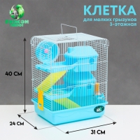 Клетка для грызунов "Пижон", двухэтажная с наполнением 31 х 24 х 40 см, голубая Клетка для грызунов "Пижон", двухэтажная с наполнением 31 х 24 х 40 см, голубая