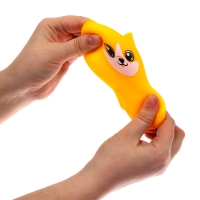 Антистресс сквиш мялка &laquo;Песик&raquo;,с пастой, в пакете