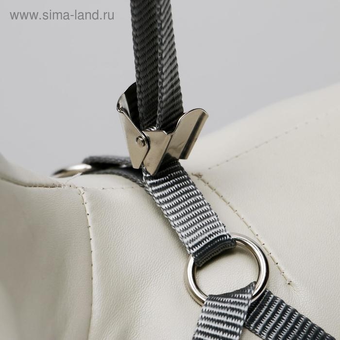 Комплект амуниции с мягкой шлейкой, L, поводок 120 х 1,5 см, ОШ 30-50 см, ОГ 36-56 см, красный 473 Комплект амуниции с мягкой шлейкой, L, поводок 120 х 1,5 см, ОШ 30-50 см, ОГ 36-56 см, красный 473