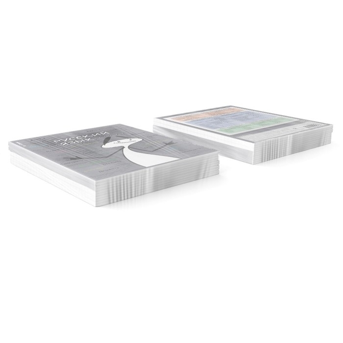 Тетрадь предметная РУССКИЙ ЯЗЫК, 48 листов в линейку, ErichKrause Тетрадь предметная РУССКИЙ ЯЗЫК, 48 листов в линейку, ErichKrause "Чубрик", пластиковая обложка, шелкография, блок офсет 100% белизна, инфо-блок