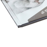 Блокнот А6, 40 листов в клетку "Спящий кот", твёрдая обложка, глянцевая ламинация, блок офсет