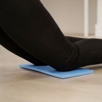 Ролик для пресса ONLYTOP, 33х24х24 см, с ковриком, цвет серый/розовый Ролик для пресса ONLYTOP, 33х24х24 см, с ковриком, цвет серый/розовый