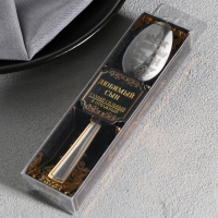 Ложка чайная с гравировкой «Любимый сын», в подарочной коробке, 3 х 14 см. Ложка чайная с гравировкой «Любимый сын», в подарочной коробке, 3 х 14 см.