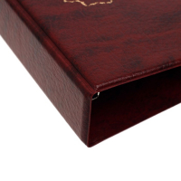 Альбом для монет на кольцах, формат Оптима 230 х 265 мм Calligrata "Карта", входит до 20 листов, обложка искусственная кожа, коричневый Альбом для монет на кольцах, формат Оптима 230 х 265 мм Calligrata "Карта", входит до 20 листов, обложка искусственная кожа, коричневый