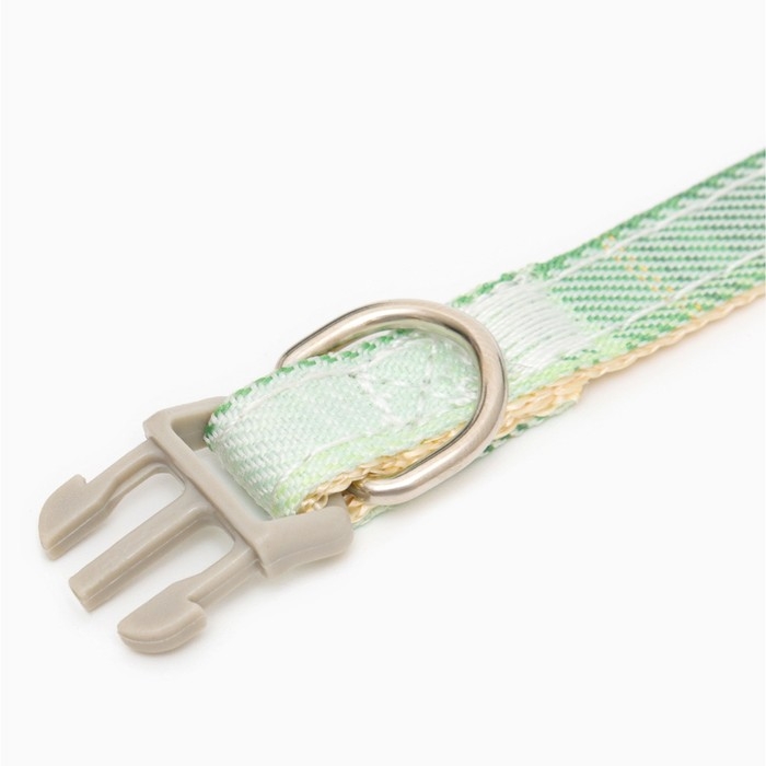 Ошейник Ошейник "Мягкость", полиэстер, с бубенчиком, 34 х 1 см, зелёный