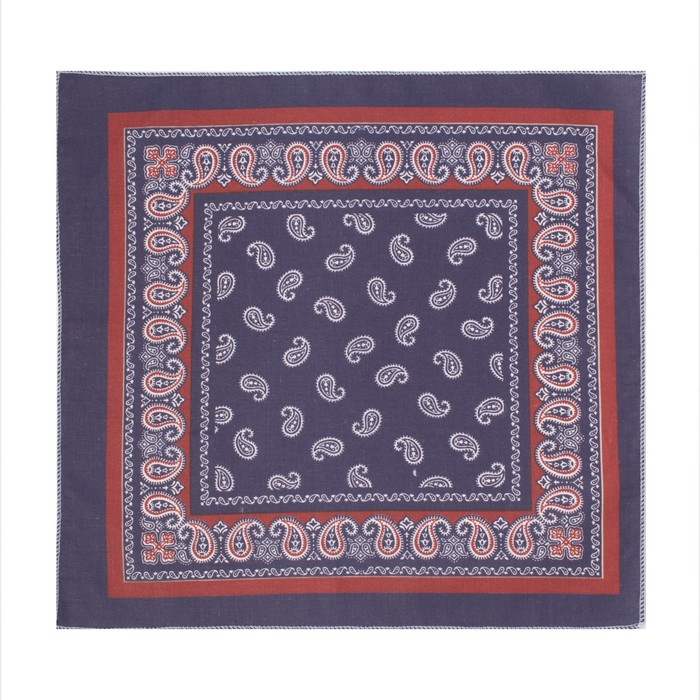 Платки носовые мужские «Этель», размер 30х30 см, (набор 12 шт,) принт МИКС, 100% хлопок Платки носовые мужские «Этель», размер 30х30 см, (набор 12 шт,) принт МИКС, 100% хлопок