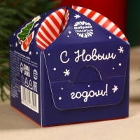 Печенье с предсказанием &laquo;Дед Мороз тебя любит&raquo;, 1 шт x 6 г.