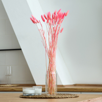 Сухоцветы &laquo;Лагурус&raquo;, набор 30 шт., цвет розовый