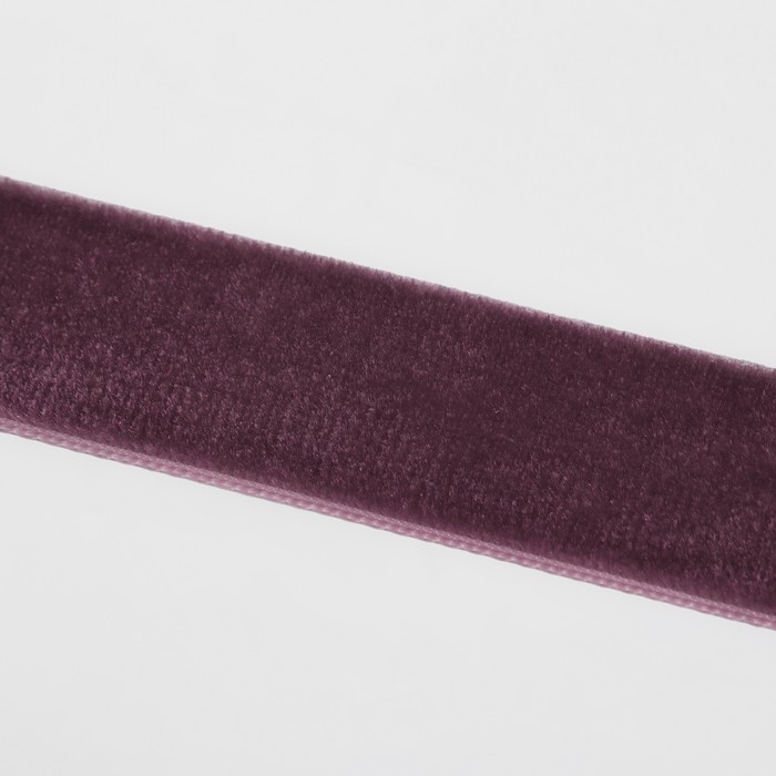 Лента бархатная, 20 мм, 18 &plusmn; 1 м, цвет ежевичный №199
