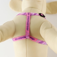 Комплект &laquo;Маленькая леди&raquo;, шлейка 24-36 см, поводок 120х1 см