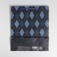 Пакет подарочный ламинированный, упаковка, &laquo;Клетка&raquo;, ML 21 х 25 х 8 см