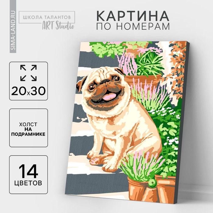 Картина по номерам на холсте с подрамником &laquo;Мопс&raquo; 20х30 см