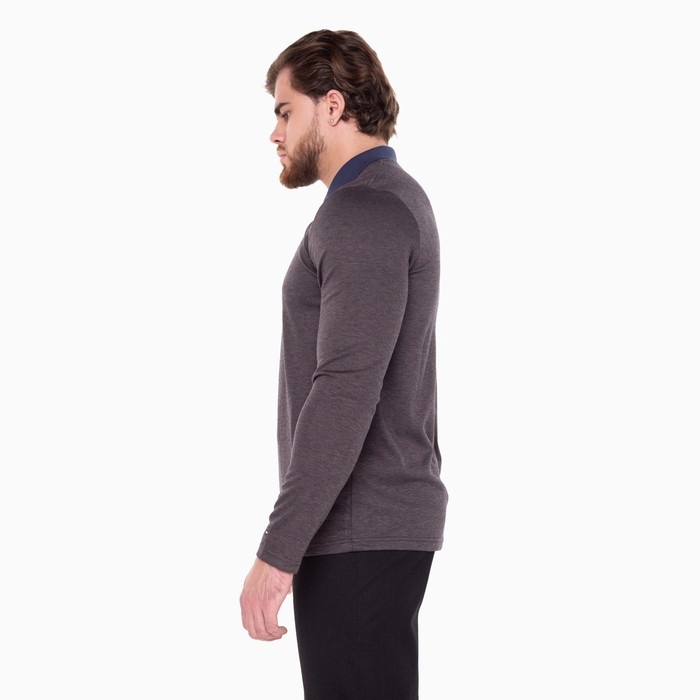 Поло мужское с длинным рукавом, цвет коричневый, размер 46 (M)