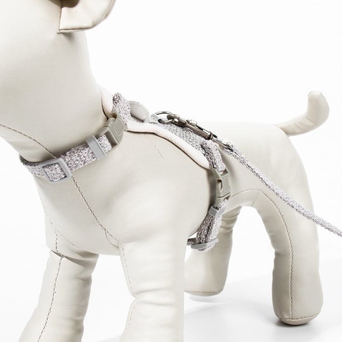 Комплект амуниции "Мышка" с мягкой шлейкой, поводок 120 х 1 см, ОШ 18-22 см, ОГ 24-30 см, серый